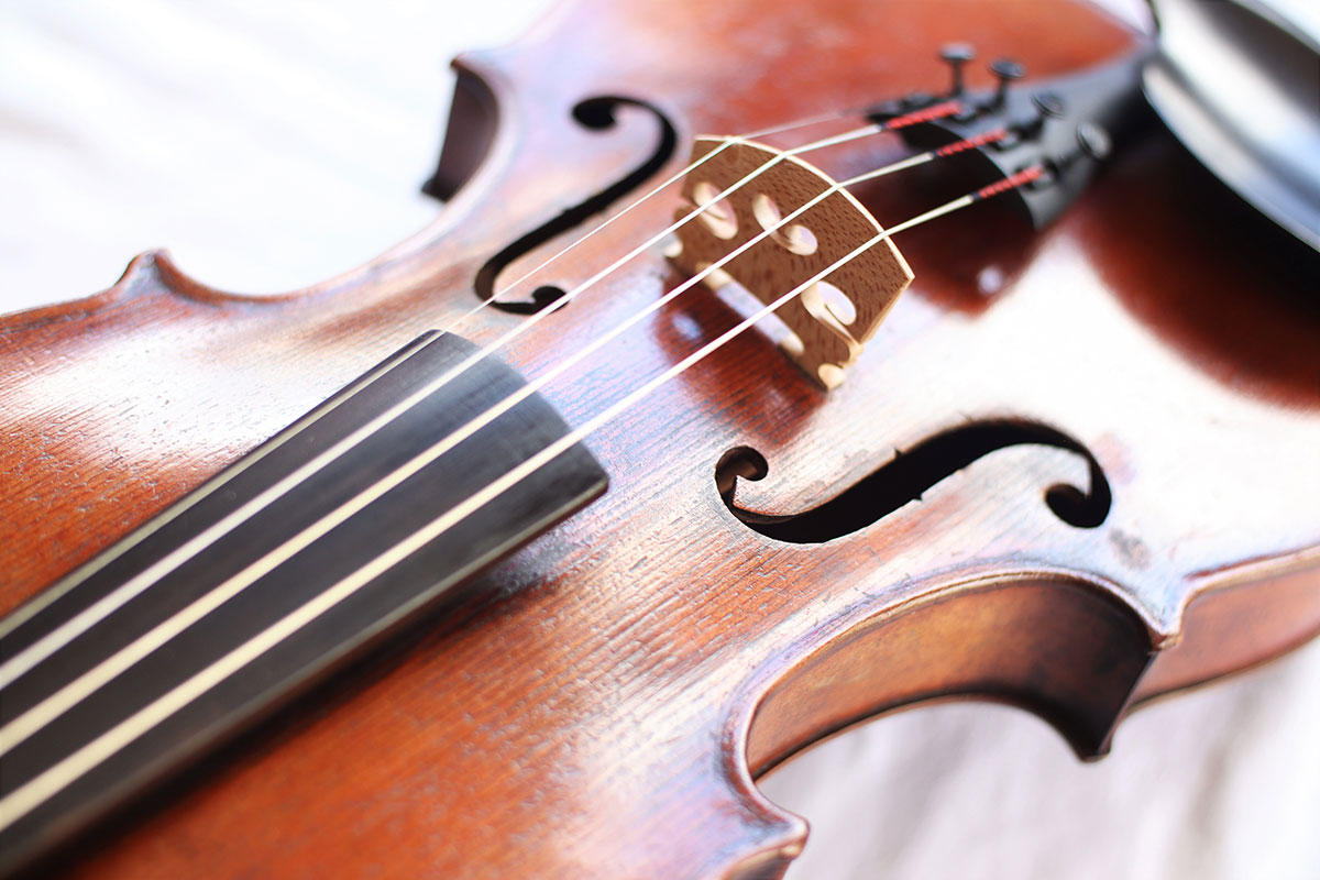 violin3